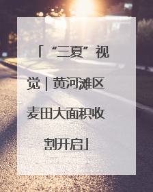 “三夏”视觉｜黄河滩区麦田大面积收割开启
